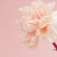 1658474105224673.jpg 03.jpg